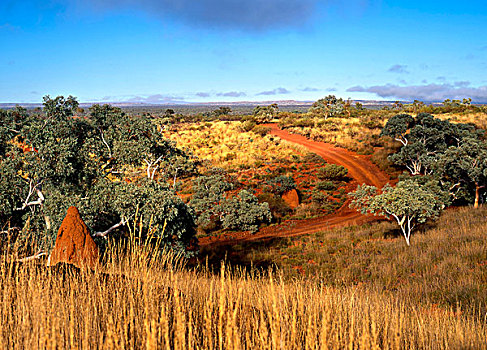 风景,卡瑞吉尼国家公园,西澳大利亚
