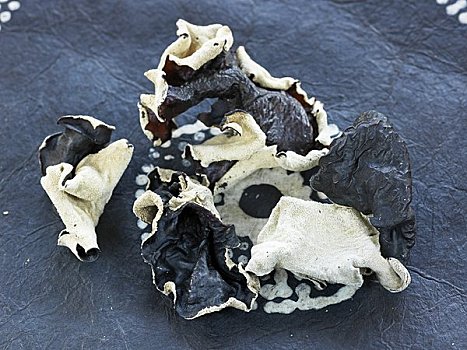 黑色,中国,蘑菇