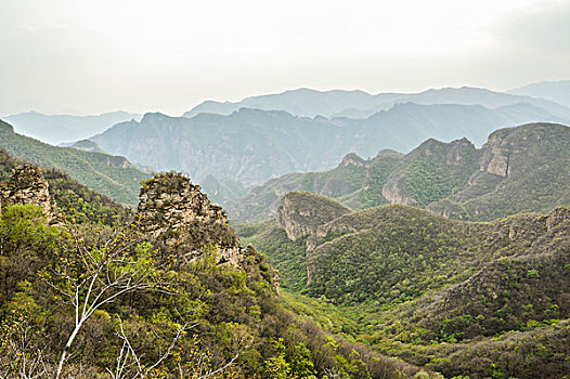 东灵山