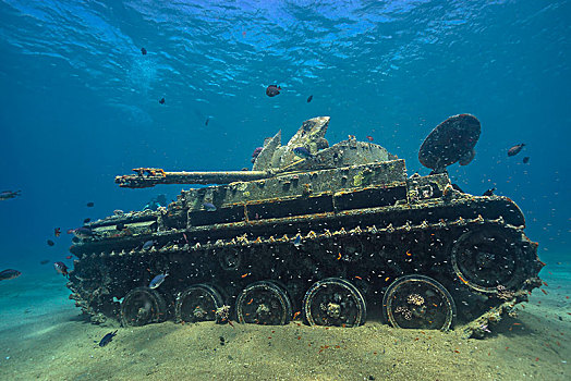 坦克,坐,安静,地面,红海,靠近,约旦