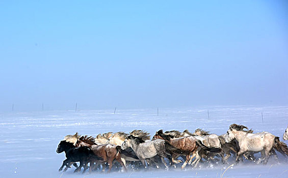 西乌旗冰雪节