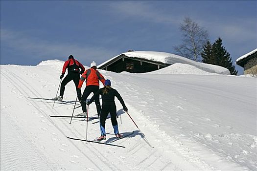 越野滑雪,滑雪者,走,上坡