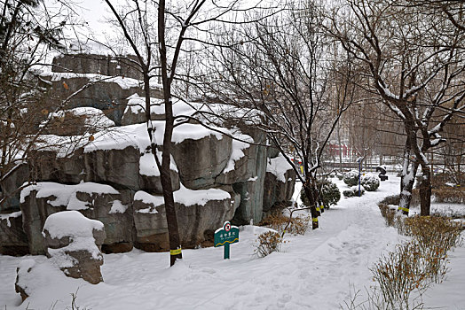 河北省石家庄市公园雪景