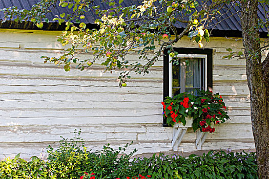 原木,家,花箱,窗户,铁,山,魁北克,加拿大