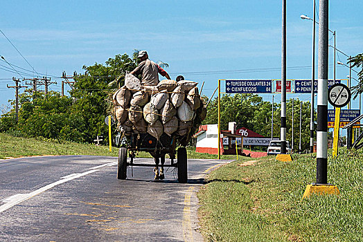 古巴,道路,运输,马车