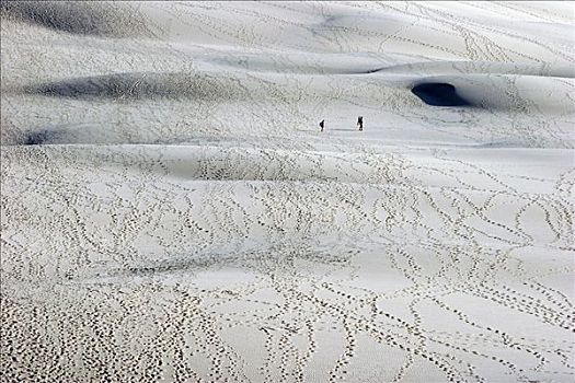 沙丘,海岸,法国
