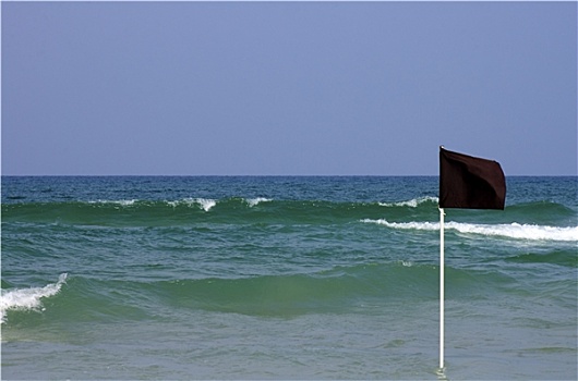 黑色,危险,旗帜,浅水