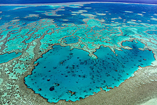 建筑,珊瑚礁,大堡礁,昆士兰,澳大利亚,大洋洲