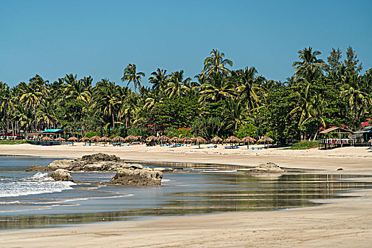 沙滩,棕榈树,缅甸,亚洲