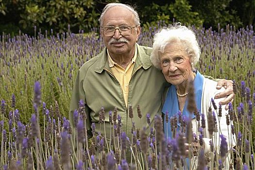 老年,夫妻,薰衣草种植区