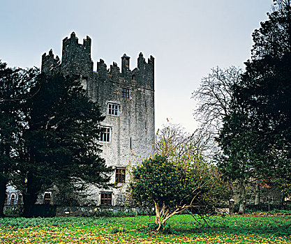 城堡,矩阵,爱尔兰
