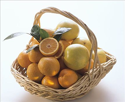篮子,橘子,白色,柚子