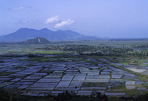 越南,靠近,稻田