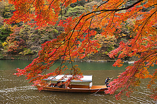 游船,河,岚山,京都,日本