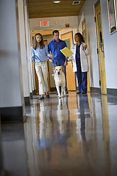 兽医,走,父亲,女儿,家庭,狗,诊所,走廊