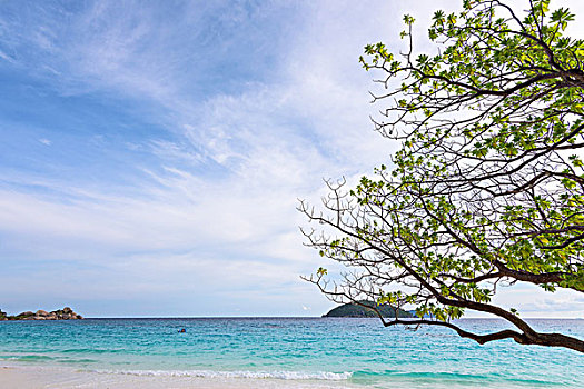 海洋,海滩,斯米兰群岛,泰国