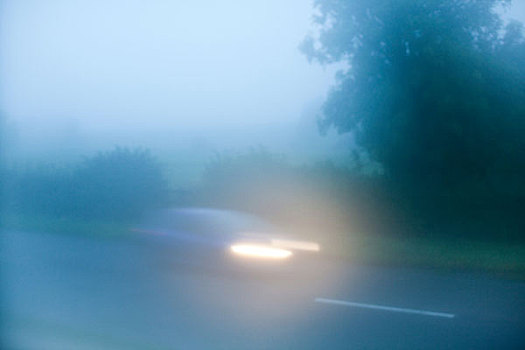汽车,驾驶,雾,乡间小路