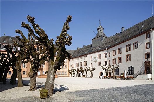 城堡广场,切削,柳树,北方,翼,城堡,坏,地区,北莱茵威斯特伐利亚,德国,欧洲