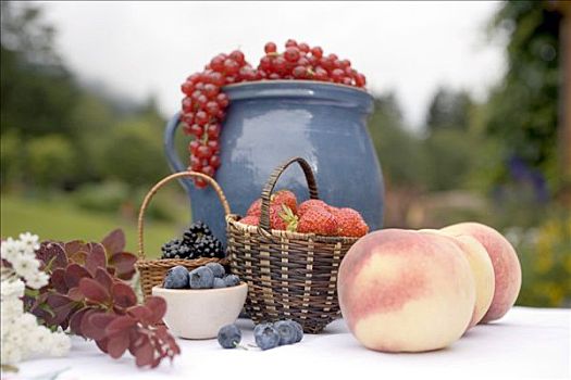 夏季水果,静物,桌上,花园
