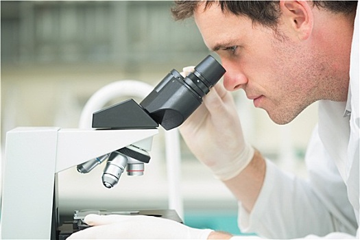 科学,研究人员,显微镜,实验室