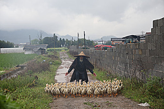 云河古村