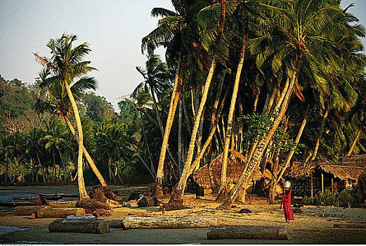 女人,水,乡村,安达曼群岛,印度