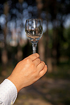 一只手端着透明玻璃高脚杯