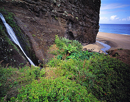 瀑布,进入,海洋,岛屿,考艾岛,夏威夷