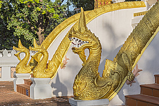 龙,雕塑,山楂,书写,万象,老挝