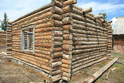喀纳斯图瓦人的木屋