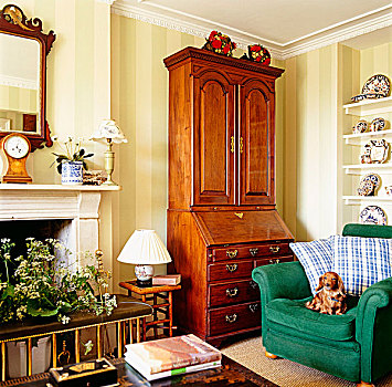 绿色,扶手椅,靠近,老式,橱柜,传统,客厅