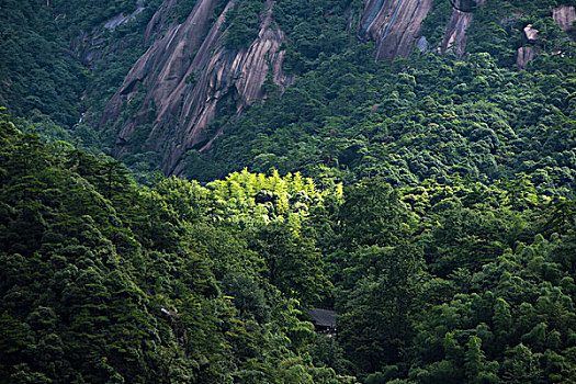 黄山竹海