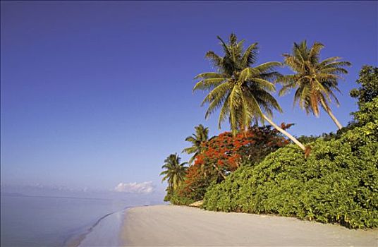 塞锡尔群岛,普拉兰岛,风景