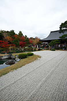 日本京都岚山天龙寺