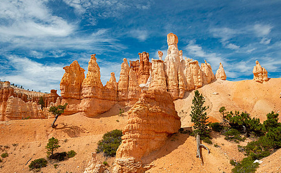怪诞,岩石构造,红色,沙岩构造,布莱斯峡谷国家公园,犹他,美国,北美