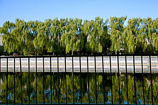 紫禁城的护城河倒映着成排的绿树