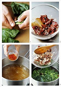 制作,越南,牛肉,菠菜汤
