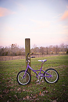 紫色,自行车,倚靠,木头,柱子,童年,运输