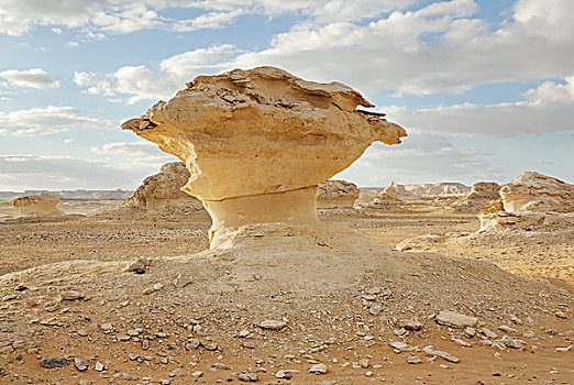 石灰石,石头,排列,白沙漠,费拉菲拉,绿洲,西部沙漠,埃及,非洲