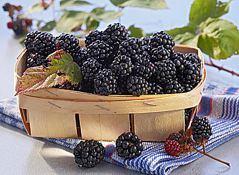 黑莓,编织物,盛屑篮
