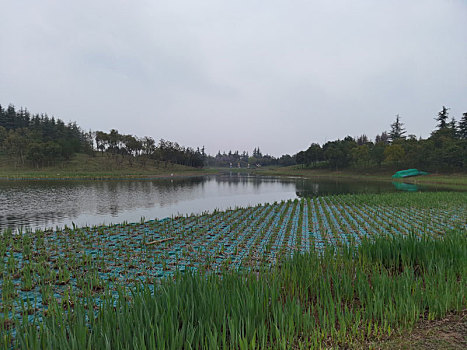 西安鹤鸣湖公园