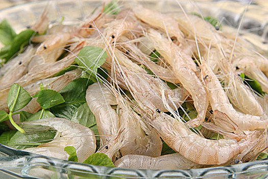 秧草太湖白米虾