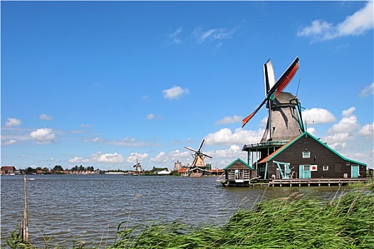 木质,风车,河,美女,蓝天,白云,特色,荷兰人,乡村
