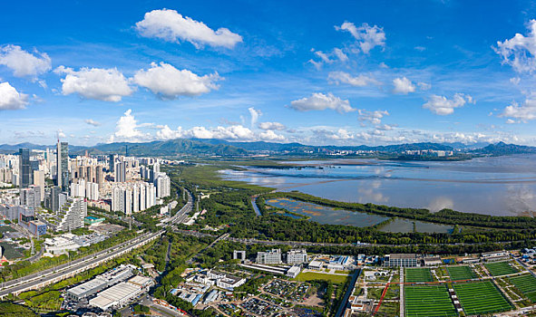 深圳竹子林上空航拍深圳湾,深南大道,南山,福田等城市天际线全景风光