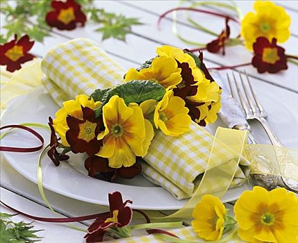 餐巾环,樱草属植物,方格,餐巾