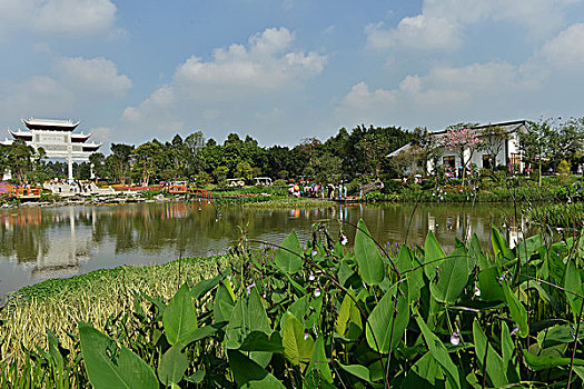 广州海珠湿地公园