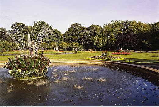 喷泉,花,树,绿色公园,都柏林,爱尔兰