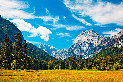 阿尔卑斯山,夏天,山景