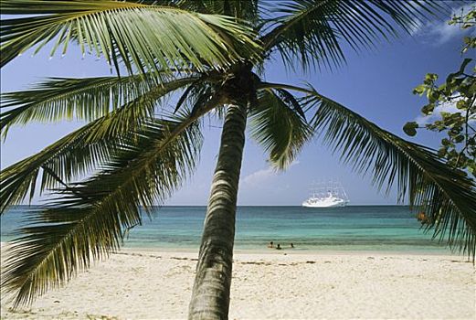 西印度群岛,瓜德罗普,玛丽-嘎兰特群岛,海滩