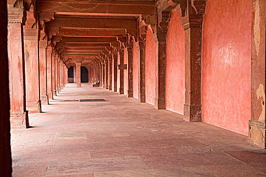 印度,阿格拉,堡垒,红堡,世界遗产,装饰,红色,砂岩,复杂,一对,壁,纪念碑
